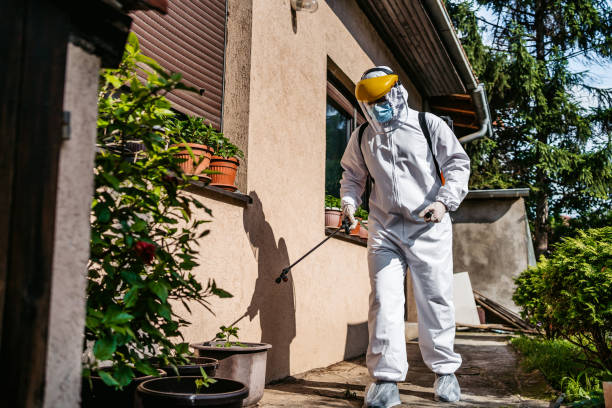 Best Local Pest Control Services  in Stagecoach, NV