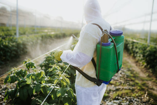 Best Pest Removal Services  in Stagecoach, NV